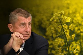 Babišův podvod. Pokud Agrofert neprodá, žádný „nez...